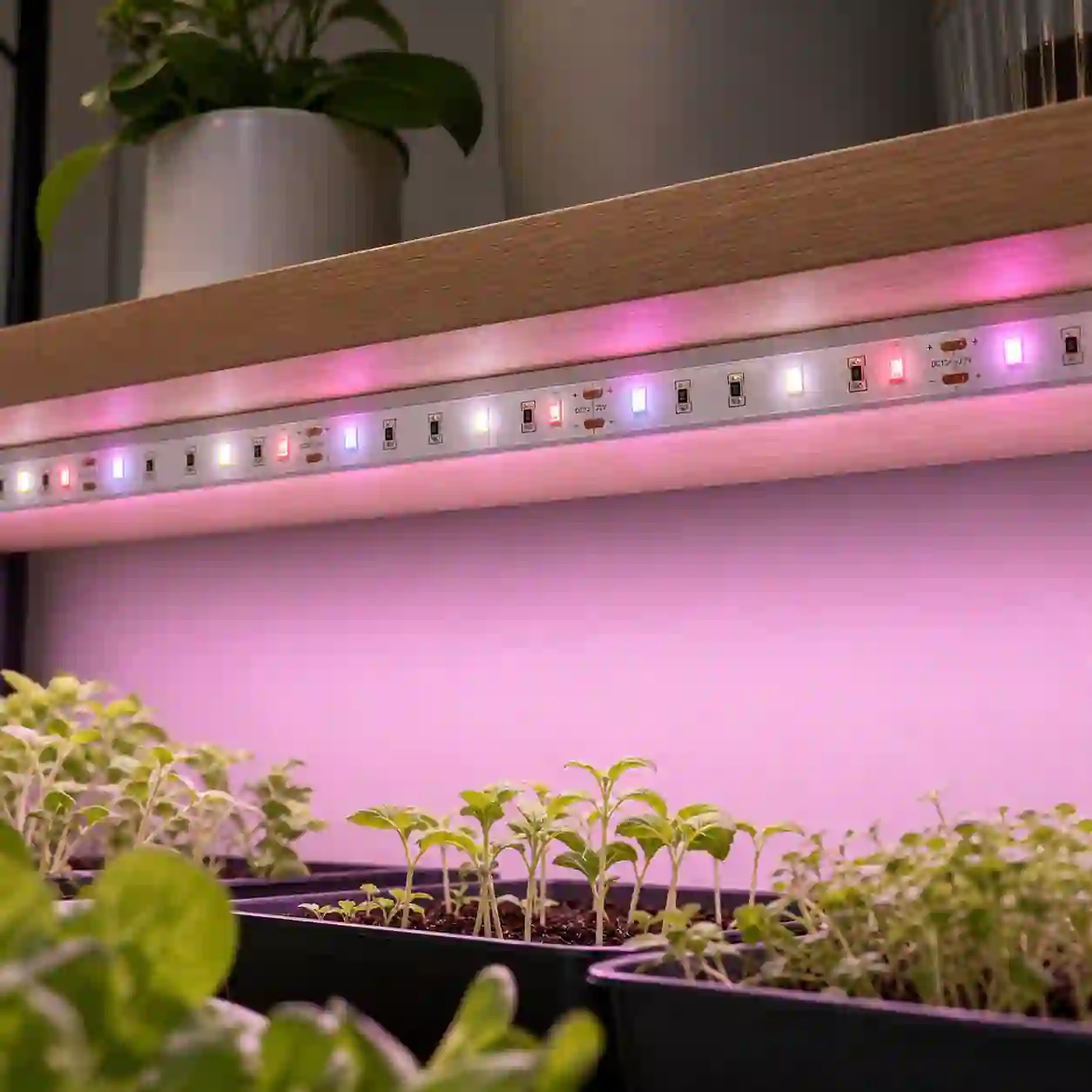 Technický detail LED pásku 8mm s dělením každých 5cm
